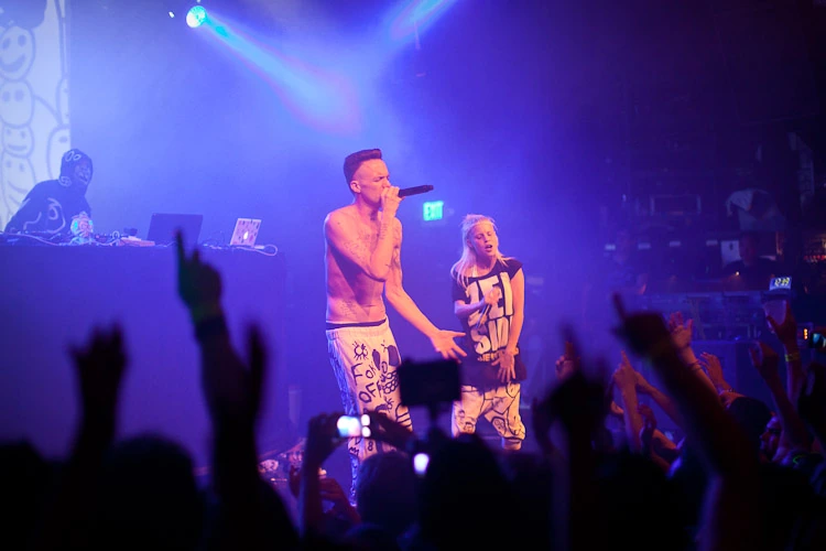 Die Antwoord Ninja Net Worth: Estimated Wealth Breakdown
